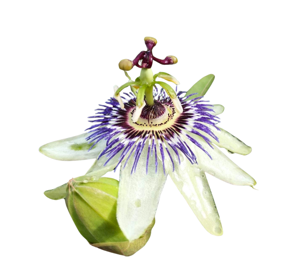 Accompagnement au changement