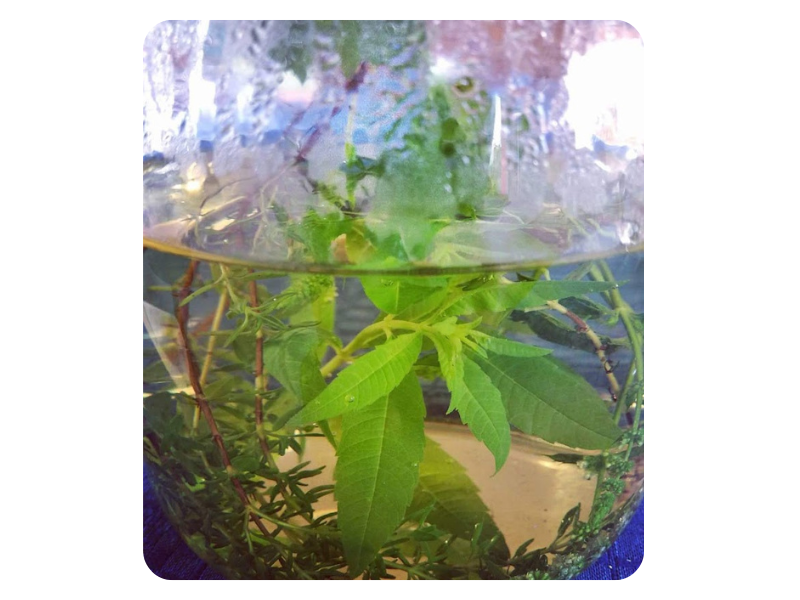 Hygiène de vie - Prévention