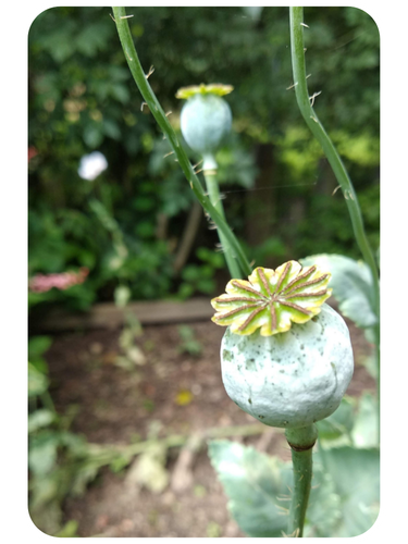 "Voyage en autonomie"